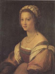 Andrea del Sarto Portrait of a Young Woman (san05) Germany oil painting art
